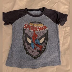 The Amazing Spider-Man Graphic T-Shirt